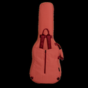 FUNDA_PARA_GUITARRA_ELECTRICA_RITTER_RGB4-DE_FRO(3).png