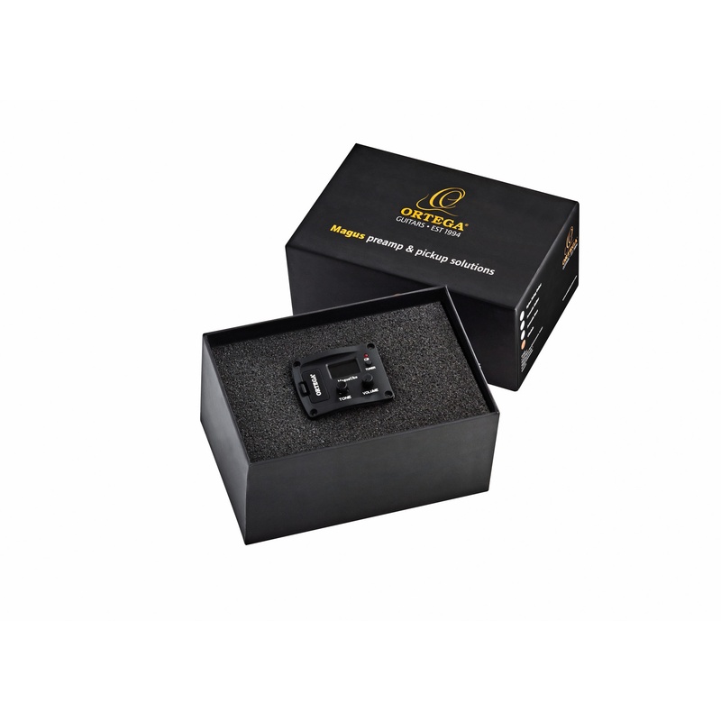 PREAMPLIFICADOR_ORTEGA_MAGUSUKE(1).jpg