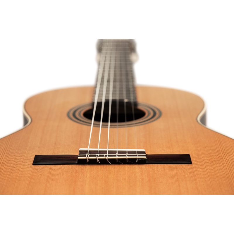GUITARRA_CLASICA_ORTEGA_R19S(5).jpg