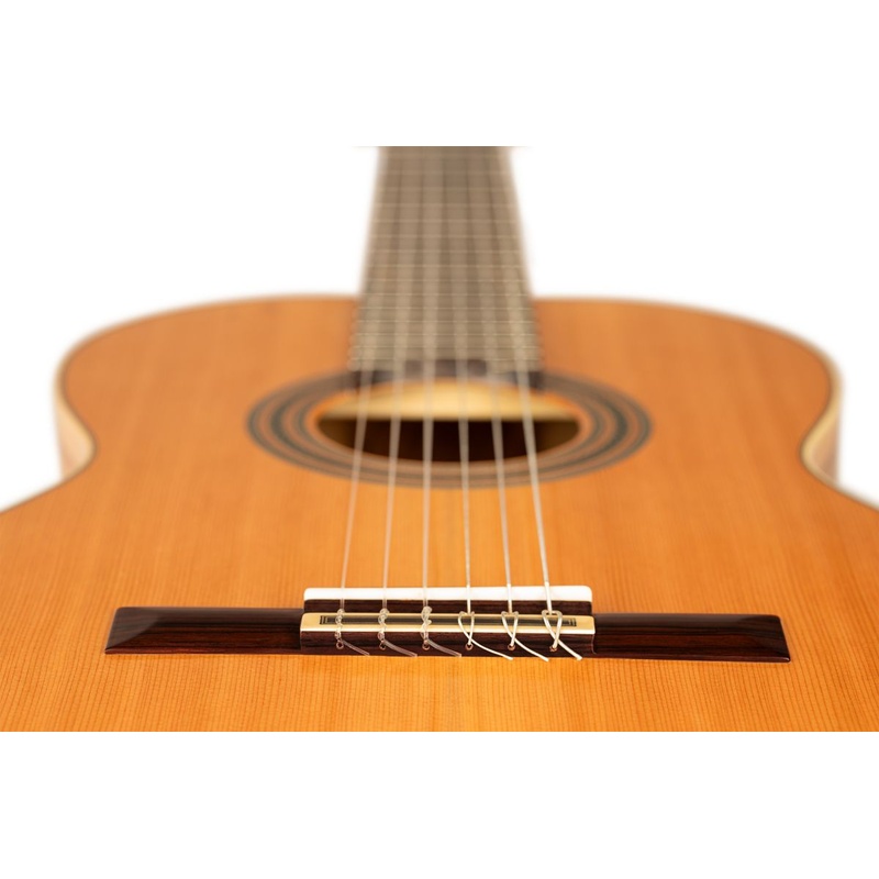 GUITARRA_ACUSTICA_ORTEGA_TRADITIONAL_SERIES_4_4_R20GRG-L(5).jpg