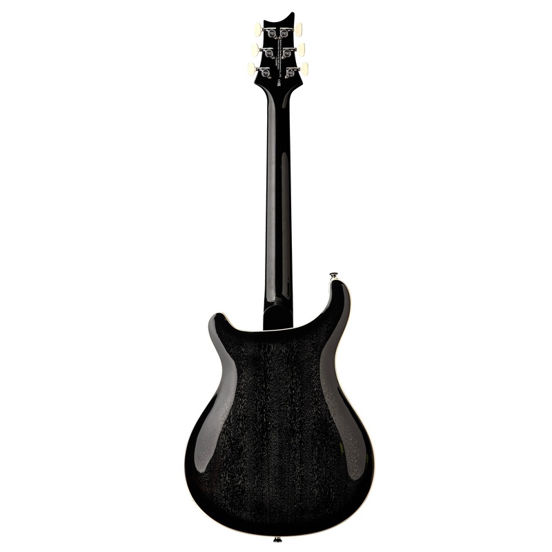 GUITARRA_ELECTRICA_PRS_GUITARS_SE_HOLLOWBODY_STANDARD_DH_DOG_HAIR_SMOKEBURST(1).jpg