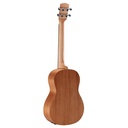 UKULELE_BARITONE_ELECTRICO_ALVAREZ_REGENT_UKE_RU22BE(2).jpg