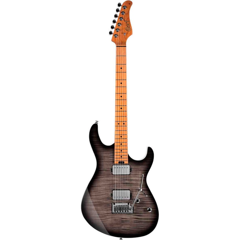 Guitarra Eléctrica Cort G290 Fat Ii Tbb