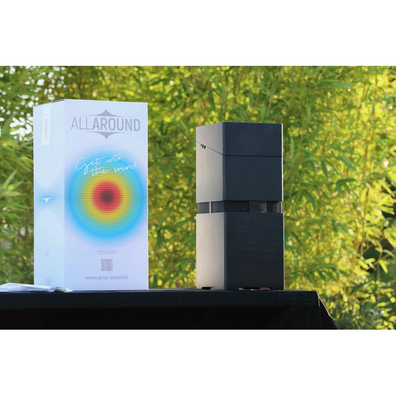 Amplificador De Guitarra Acústica Acus Allaround 8 Bk