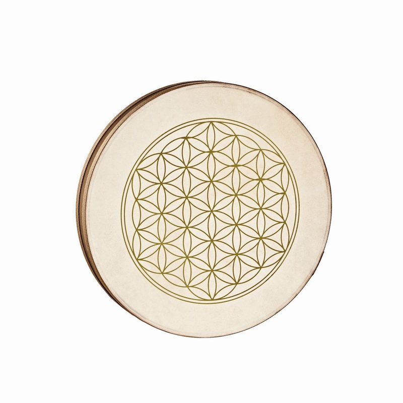 Pandero Sonic Energy Wd16Fol