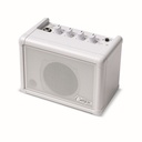 Amplificador Combo Carry On Co-Speaker Mini Speaker