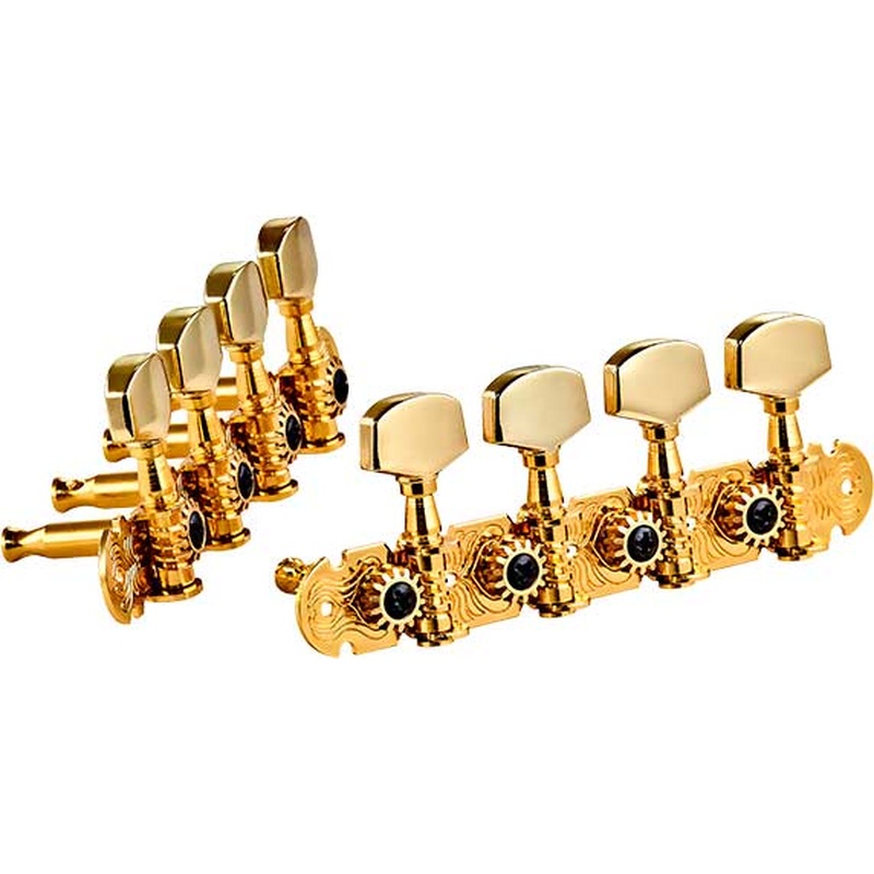 Clavijero Ortega Otmmastd-Go