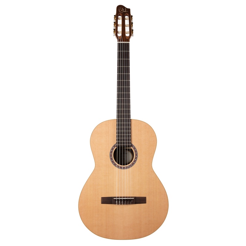 Guitarra Acustica Godin Presentation