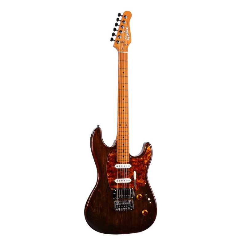 Guitarra Eléctrica Godin Session T-Pro Ltd Kanyon Burst Mn