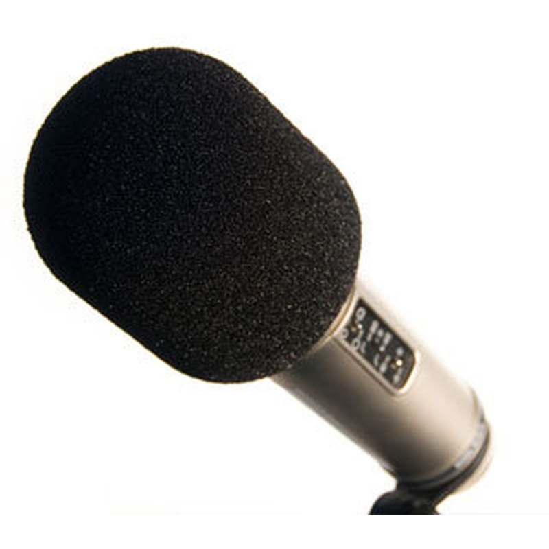 Paravientos Rode Ws2