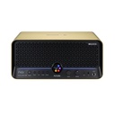 AMPLIFICADOR COMBO MOOER F40I GOLD