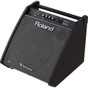 MONITOR ROLAND PM-200
