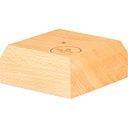 Diapason Sonic Energy Ttf-Holder-1