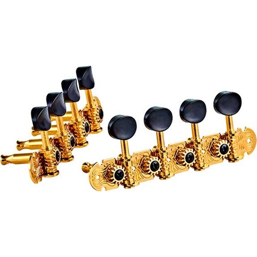 Clavijero Ortega Otmmadlx-Go